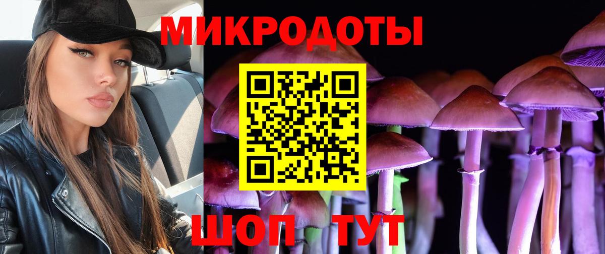 Псилоцибиновые грибы прущие грибы Канск